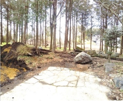 都城市山田町山田の土地