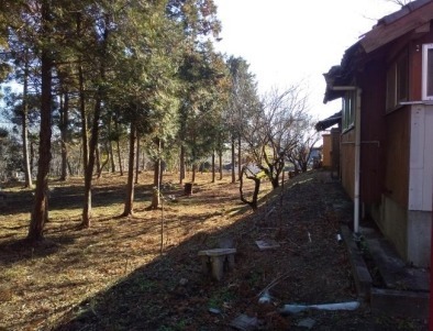 都城市山田町山田の土地
