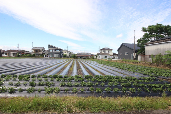 都城市蓑原町の売土地