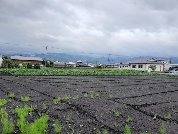 北諸県郡三股町大字樺山の売土地