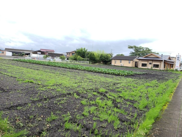 北諸県郡三股町大字樺山の売土地