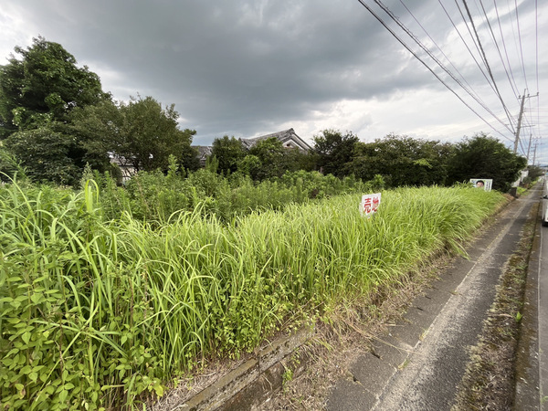 北諸県郡三股町大字樺山の土地