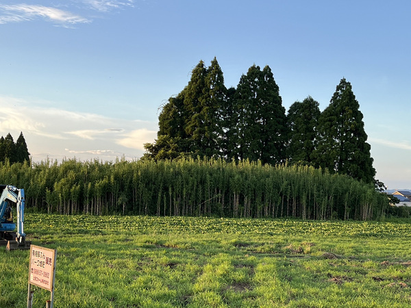 都城市豊満町の土地