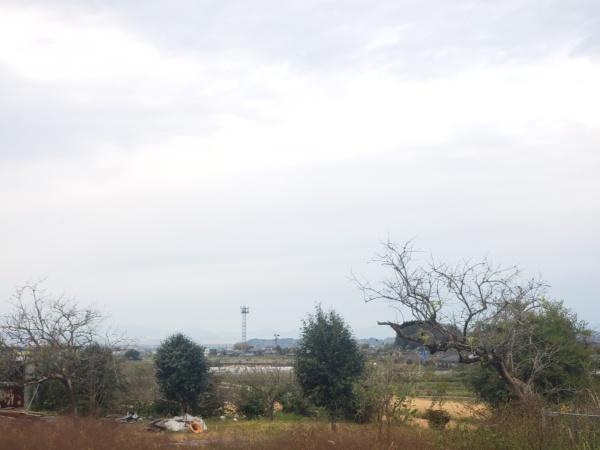 北諸県郡三股町大字宮村の土地