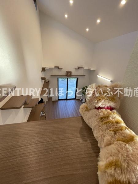 建売には珍しい猫ちゃんと暮らすための平屋建です
