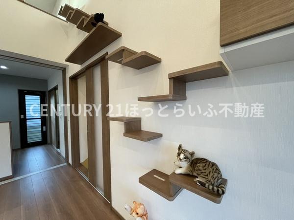 建売には珍しい猫ちゃんと暮らすための平屋建です