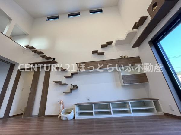 建売には珍しい猫ちゃんと暮らすための平屋建です