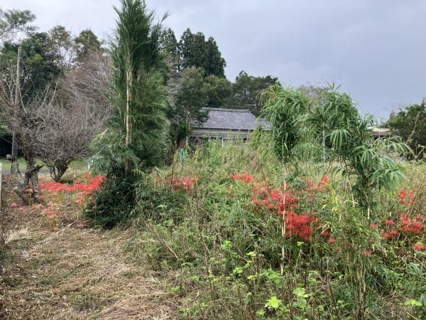 都城市上水流町の土地