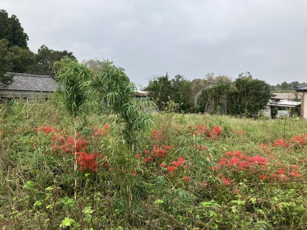 都城市上水流町の土地