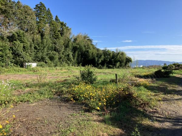 都城市上水流町の土地