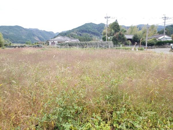 北諸県郡三股町大字宮村の土地