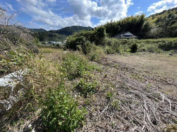 北諸県郡三股町大字宮村の土地