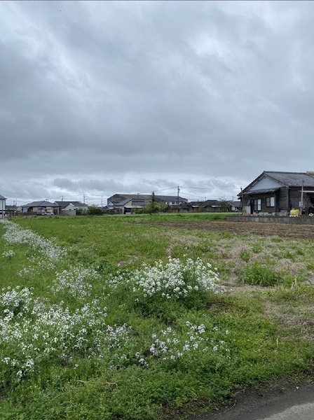 都城市金田町の売土地