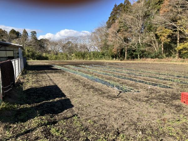 都城市上水流町の売土地