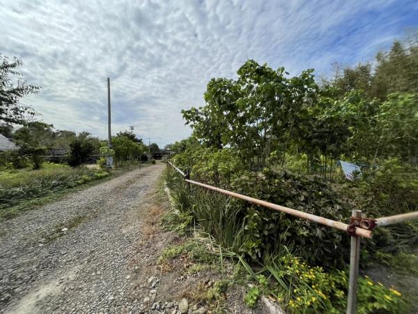 都城市金田町の土地