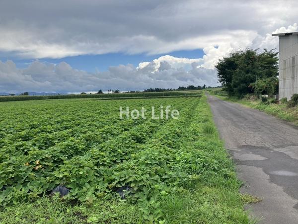 都城市山田町中霧島の売土地