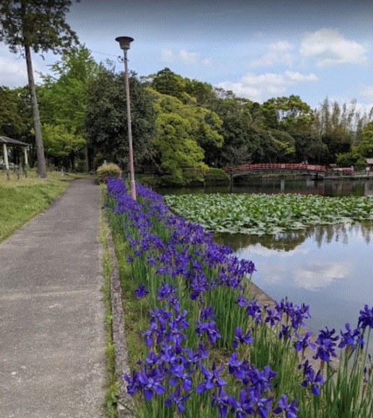 都城市郡元町の土地(早水公園)