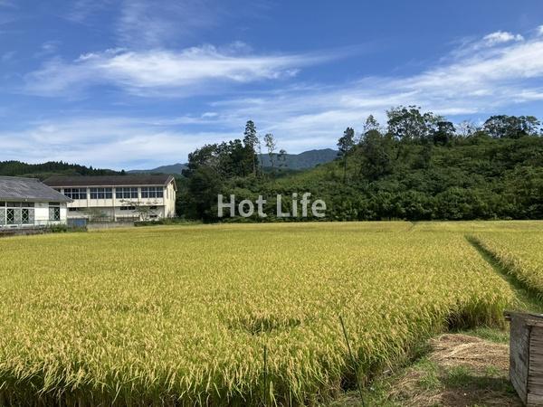 都城市山之口町花木の土地