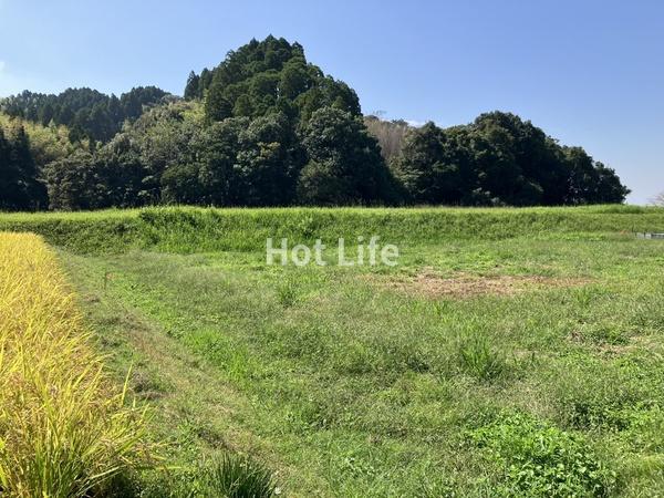 北諸県郡三股町大字樺山の土地