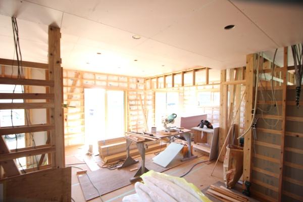三股町蓼池　広々とした間取りの新築建売住宅