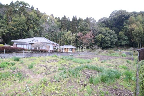 北諸県郡三股町大字蓼池の土地