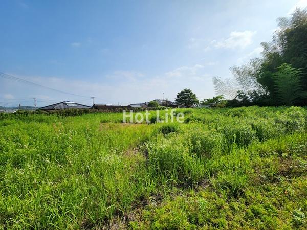 乙房町364坪売地
