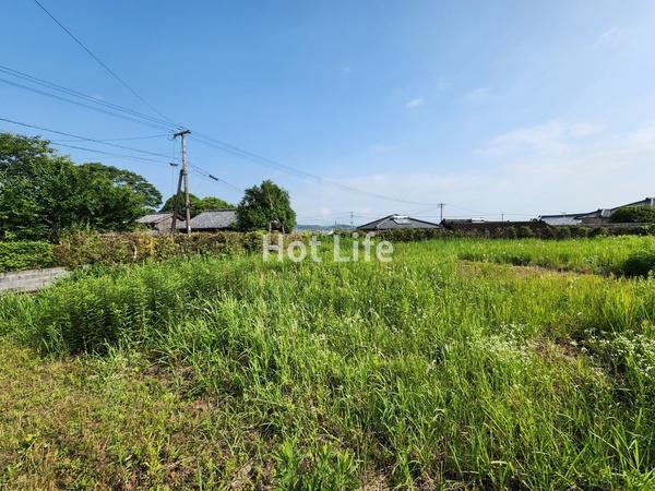 乙房町364坪売地