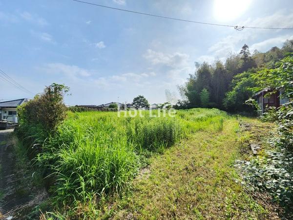 乙房町364坪売地