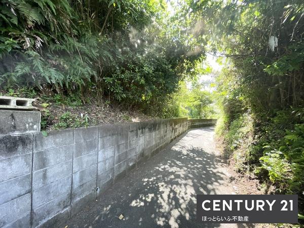 都城市志比田町の土地