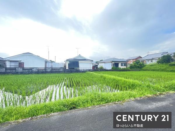 西道路　99.65坪　三股小学校区の売地です