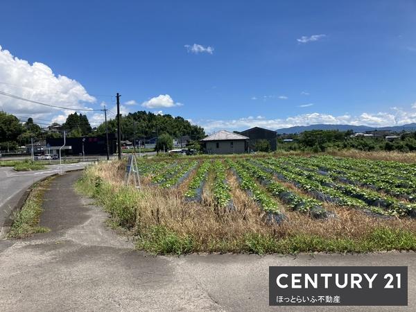 菓子野町193坪　売地