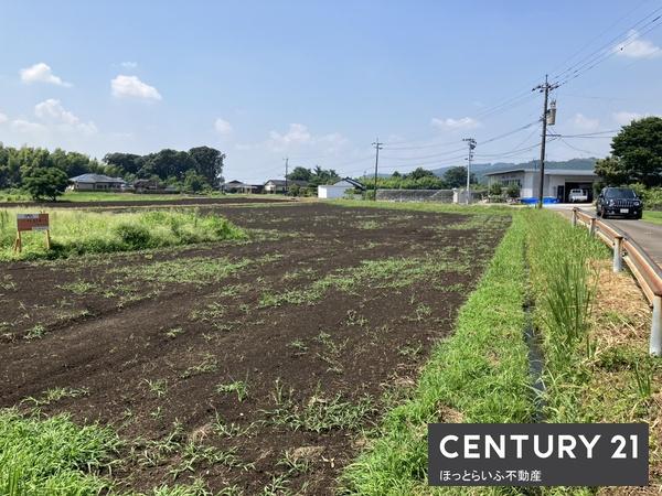 高崎町大牟田７２７坪売地