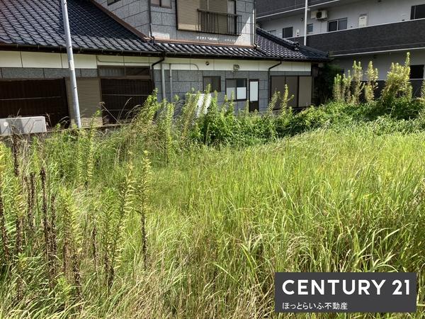 都城市都原町の土地