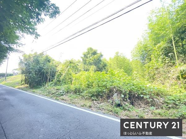 平塚町１７７坪売地
