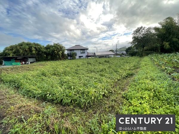 北諸県郡三股町大字樺山の土地