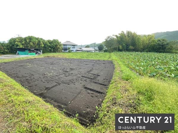 北諸県郡三股町大字樺山の土地
