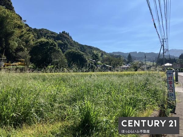三股町長田７４１坪売地