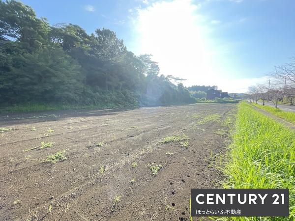 高崎町大牟田のまとまった敷地です
