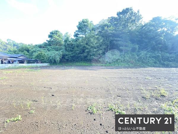 高崎町大牟田のまとまった敷地です