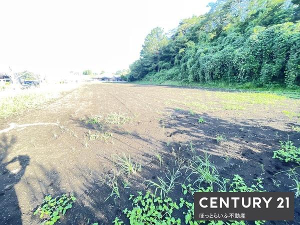 高崎町大牟田　南道路の土地です