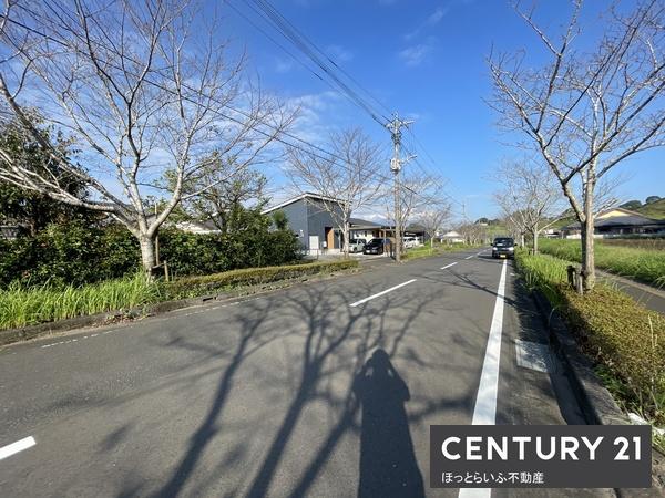 高崎町大牟田　南道路の土地です