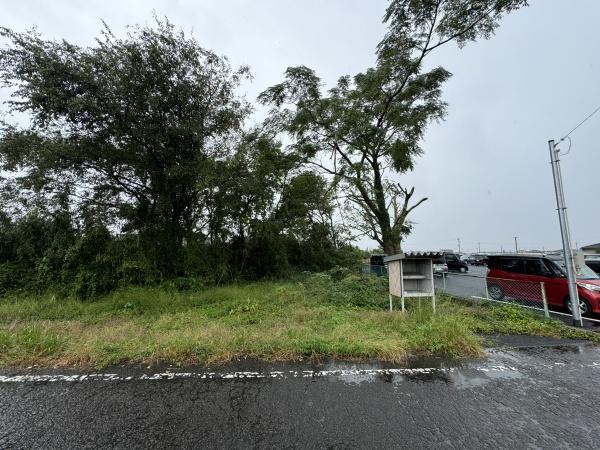 都城市金田町の土地