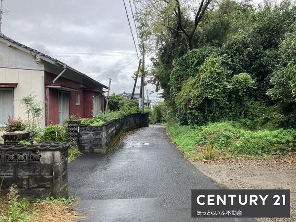 南向きの山林の土地です