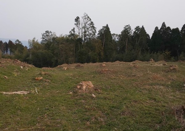 北諸県郡三股町大字長田の土地(梶山城)