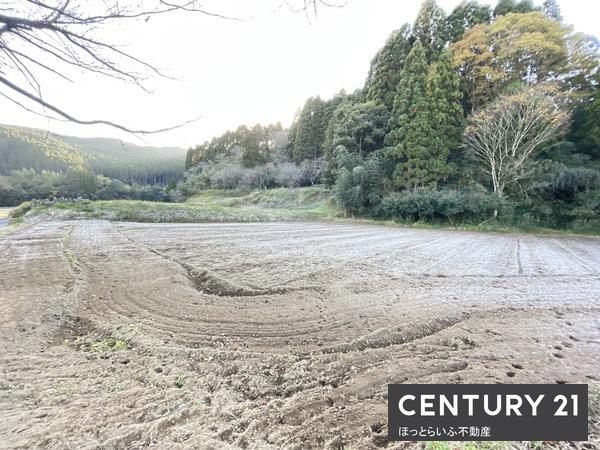 北諸県郡三股町大字樺山の土地