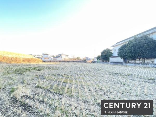 都城市志比田町の土地