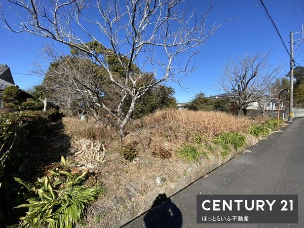 南向きの公道に面した平坦地です