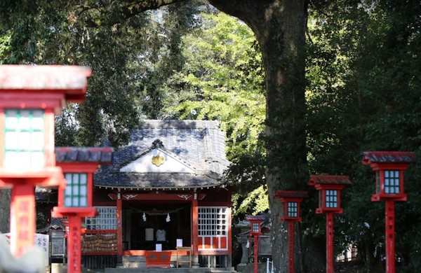 北諸県郡三股町大字宮村の土地(御年神社)