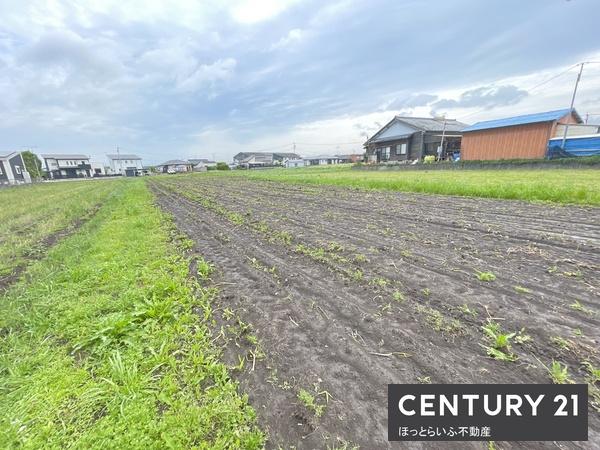都城市金田町の売土地