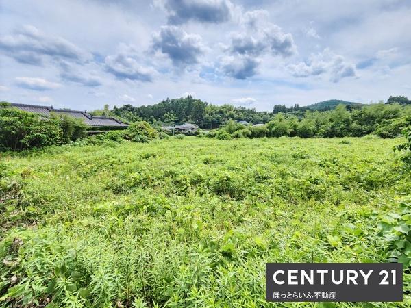静かな場所にある約580坪の土地です